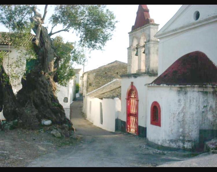 Ninos Corfu Villas Agios Georgios  Exteriör bild