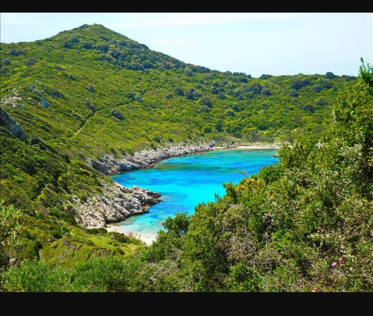 Ninos Corfu Villas Agios Georgios  Exteriör bild